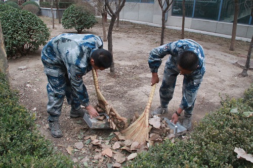 0410445690sd.jpg